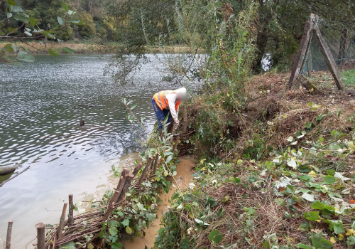 Entretien des berges