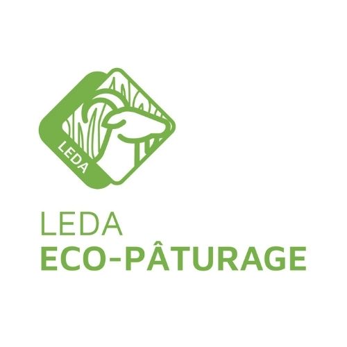 Eco-Pâturage-leda08